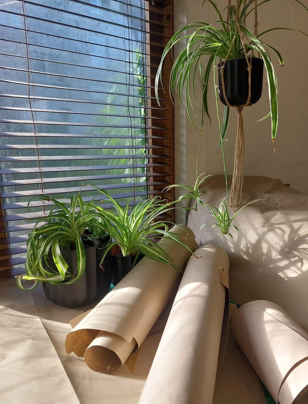 Pattern paper rolls in natural light within The Costume Room studio.